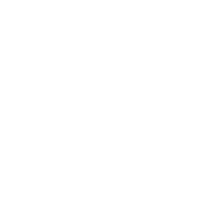 SOTE logo