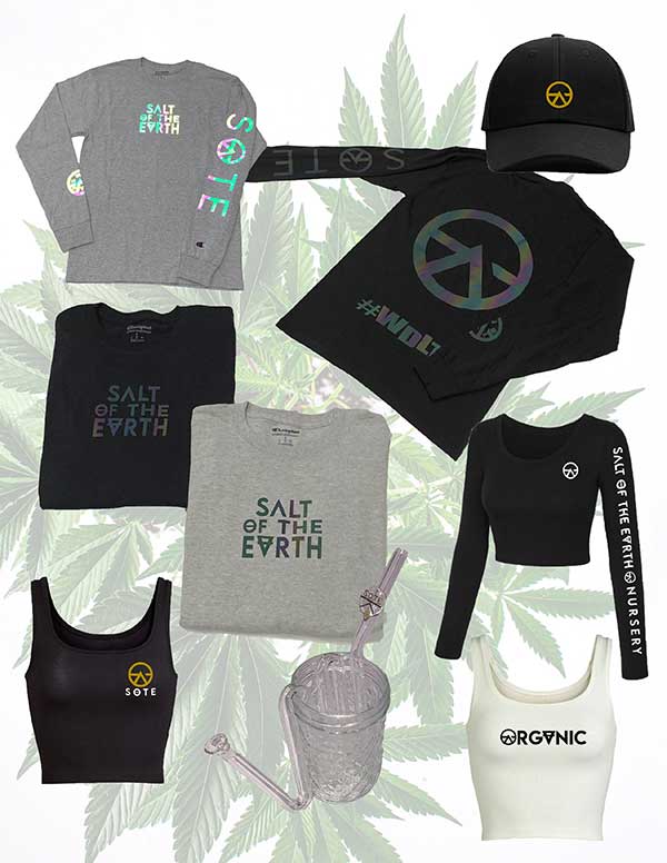 SOTE merch preview